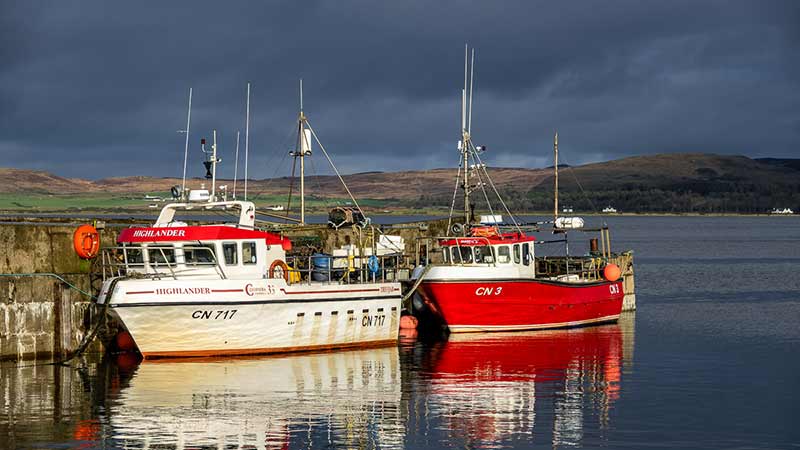 Bowmore Haven